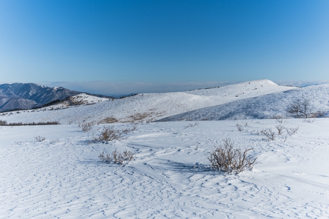 雪